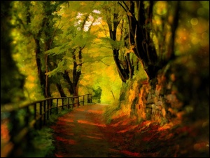Jesieni, Alejka, Kolorowe, Obraz, Barwy, Drzewa