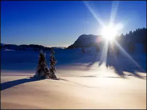 Zima, Promienie, Drzewa, Słońca, Śnieg