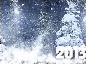 Rok, Drzewa, Zima, Śnieg, Nowy