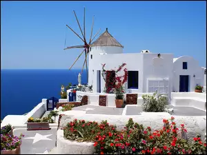 Grecja, Wiatrak, Kwiatki, Taras, Santorini