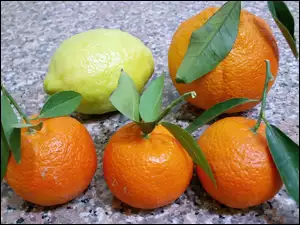 Owoce, Pomarańcze, Cytrusowe, Cytryna