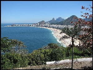 Plaża, Rio De Janeiro, Morze, Drzewa