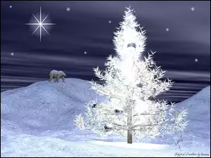 Boże Narodzenie, choinka, pierwsza gwiazdka, niedźwiedź