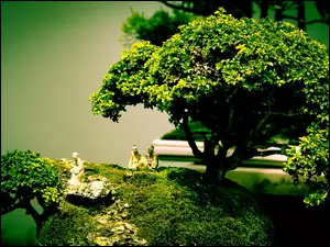 Drzewka, Porcelanowe, Bonsai, Figurki