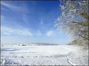Niebo, Zima, Drzewo, Śnieg