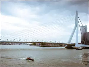 Erasmus Bridge, Rzeka, Rotterdam, Holandia
