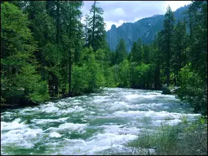 Kalifornia, Rzeka, Góry, Las, Yosemite