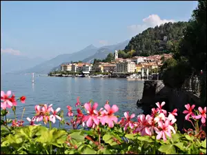 Włochy, Jezioro, Kwiatki, Como, Bellagio