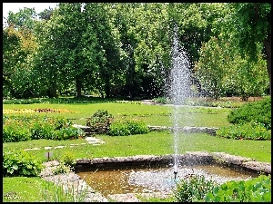 Ogród, Fontanna, Botaniczny, Poznań