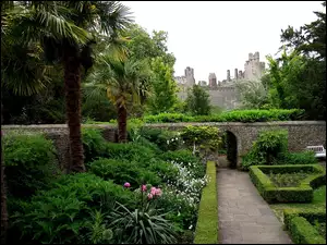 Anglia, Park, Kwiaty, Drzewa, Zamek Arundel