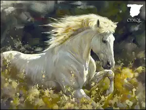 Koń, Natura