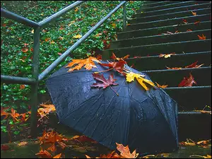 Schody, Jesień, Parasol, Liście