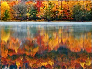Kolorowe, Jesień, Drzewa, Jezioro