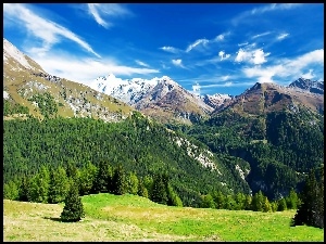 Alpy, Łąka, Austriackie, Lasy