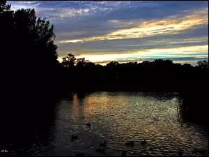 Wieczór, Jezioro