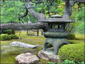 Drzewa, Japonia, Kamienie, Park