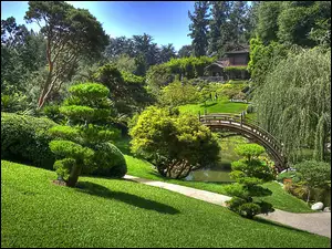 Ogród, Drzewa, Japoński, Mostek