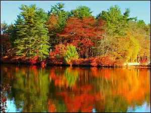 Jesieni, Rzeka, Kolorowe, Odbicie, Barwy, Drzewa