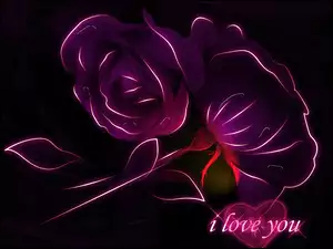 Fioletowe, Grafika, Róże, Miłość