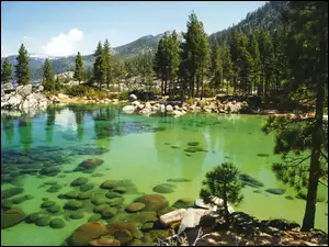 Góry, Tahoe, Jezioro, Kalifornia, Kamienie, Las