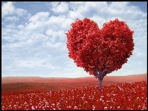 Czerwone, Walentynki, Drzewo, Serce