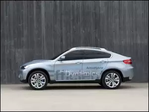 Efficient, BMW X6, Dynamics
