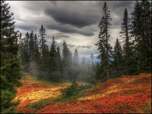 Góry, Jesień, Drzewa, Chmury