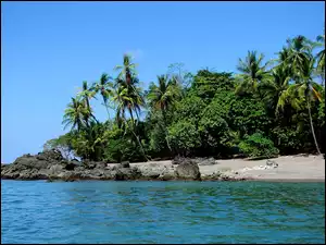 Morze, Kostaryka, Kamienie, Palmy