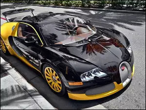 4, Czarny, Bugatti Veyron 16