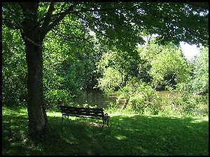 Ławeczka, Park, Woda