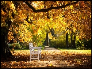 Jesień, Park, Drzewa, Ławka, Liście