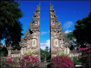 Drzewa, Indonezja, Murki, Bali, Kwiaty
