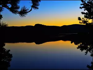 Gałęzie, Loon, Jezioro, Kalifornia, Góry, Zachód Słońca
