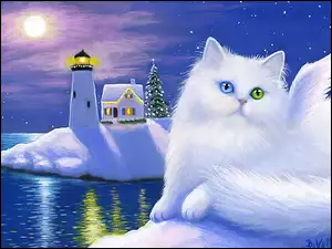 Oczy, Boże, Kot, Latarnia, Biały, Morska, Kolorowe, Narodzenie