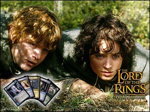 karty, The Lord of The Rings, Sean Astin, Elijah Wood, trawa