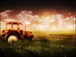 Traktor, Zboża, Pole, Łany