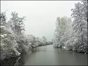 Zima, Drzewa, Rzeka, Oszronione