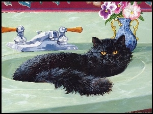 Umywalka, Czarny, Kot