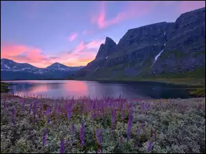 Łąka, Norwegia, Jezioro, Góry