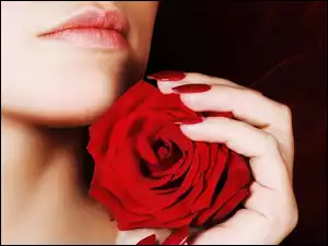 Kobieta, Dłoń, Czerwona, Róża