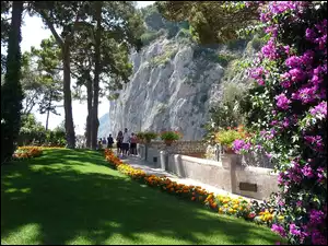 Kwiaty, Capri, Park, Włochy, Skała, Spacerowicze