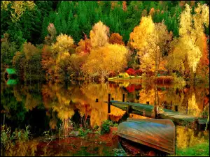 Kolorowe, Łajba, Drzewa, Jezioro