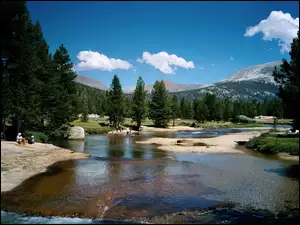 Mielizna, Stany Zjednoczone, Park Narodowy Yosemite, Stan Kalifornia, Rzeka Tuolumne River