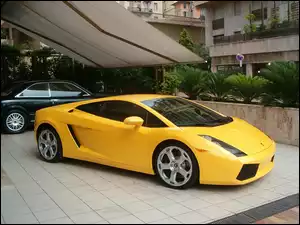 Żółty, Lamborghini Gallardo
