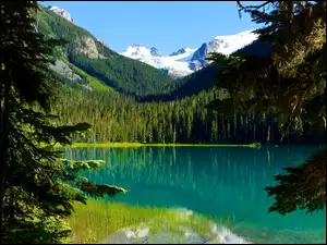 Kanada, Jezioro, Góry, Lasy, Joffre