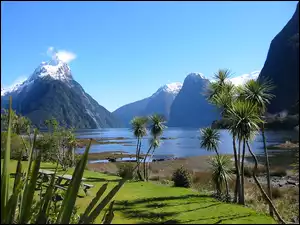 Nowa Zelandia, Jezioro, Roślinność, Góry, Milford Sound