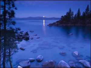 Drzewa, Tahoe, Jezioro, Kalifornia, Kamienie, Noc