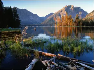 Wyoming, Jezioro, Roślinność, Góry, Jackson