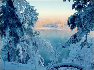 Jezioro, Zima, Ośnieżone, Drzewa