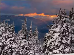 Góry, Zachód Słońca, Drzewa, Zima, Wzgórza, Śnieg